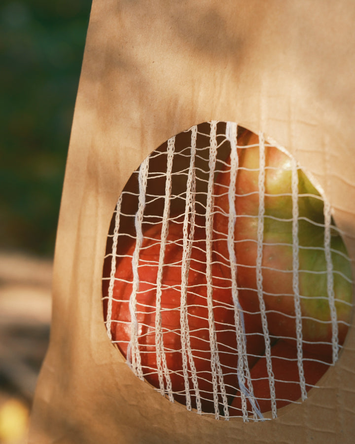 Apple pouch packaging inspiration