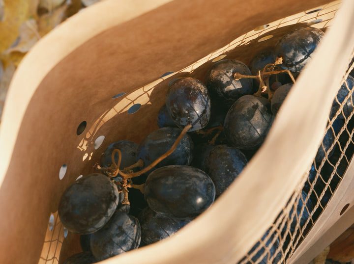 Grape pouch packaging on a purple backdrop
