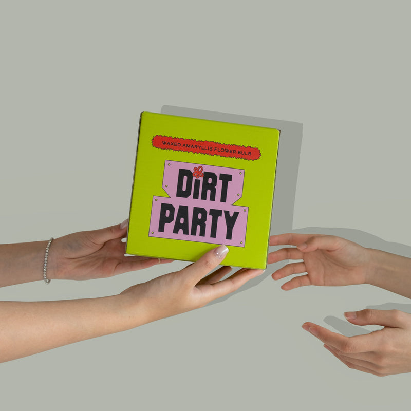 Hands exchanging a green Dirt Party gift box labeled ‘Waxed Amaryllis Flower Bulb.